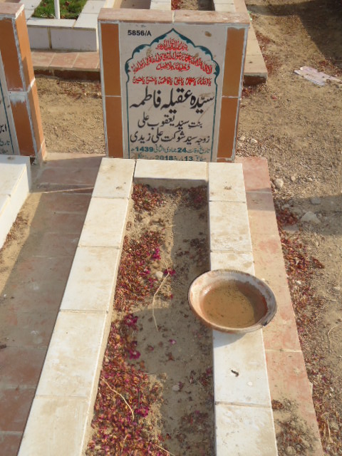 15856 – Syeda Aqeela Fatima