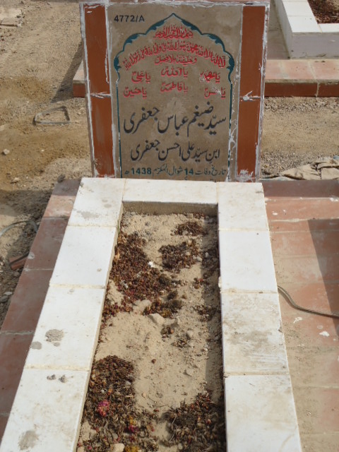 14772 – Syed Zaigham Abbas Jaffery
