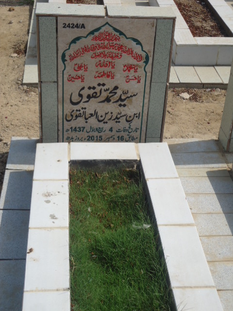 12424 – Syed Muhammad Taqvi