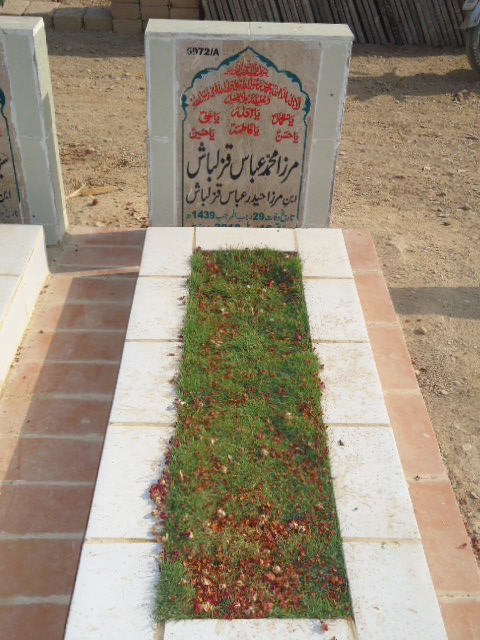 15972 – Mirza Muhammad Abbas Qazalbash