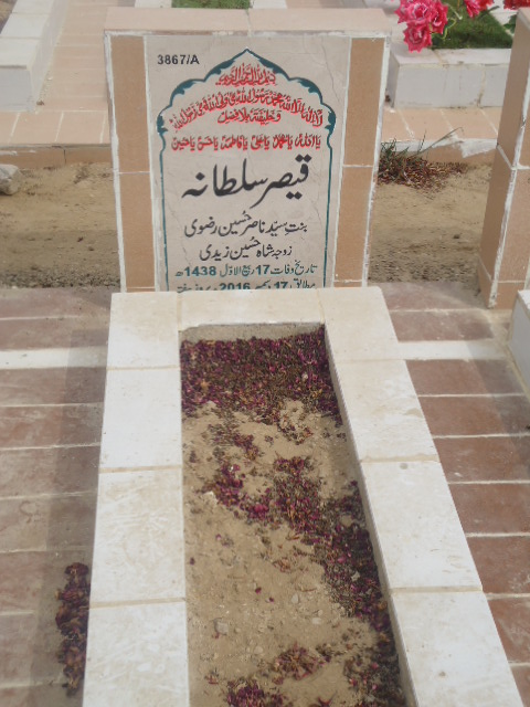 13867 – Qaisar Sultana