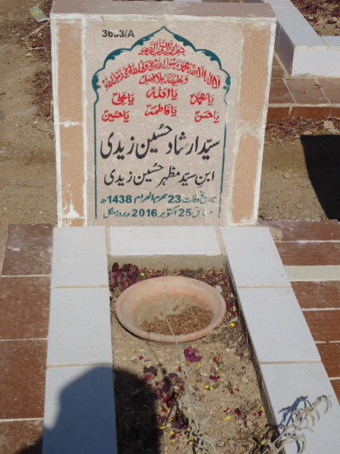 13633 – Syed Irshad Hussain Zaidi