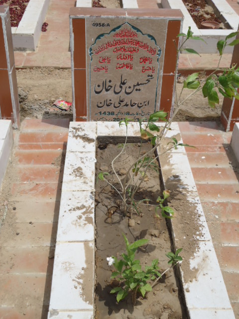 14958 – Tehseen Ali Khan