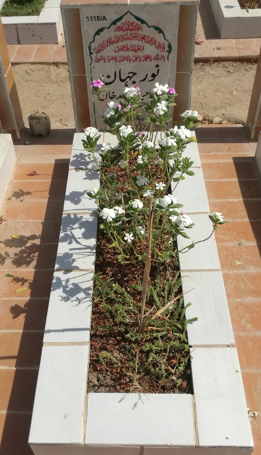 15318 – Noor Jahan