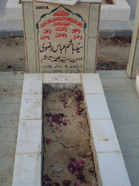 12097 – Syed Hashim Abbas Rizvi