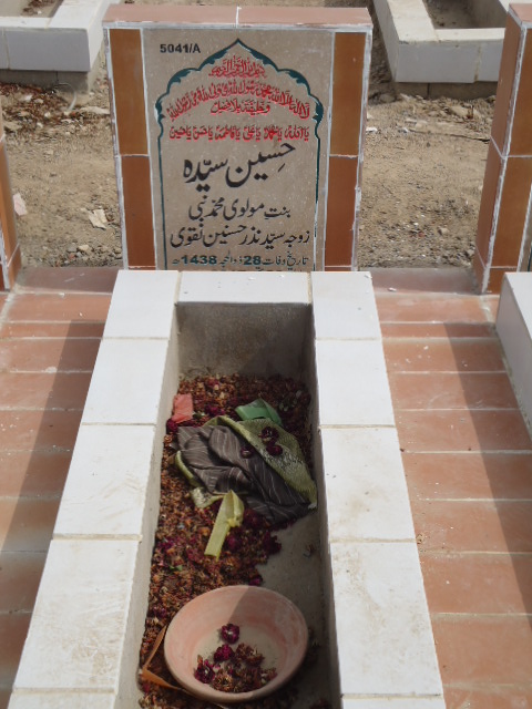 15041 – Hussain Syeda