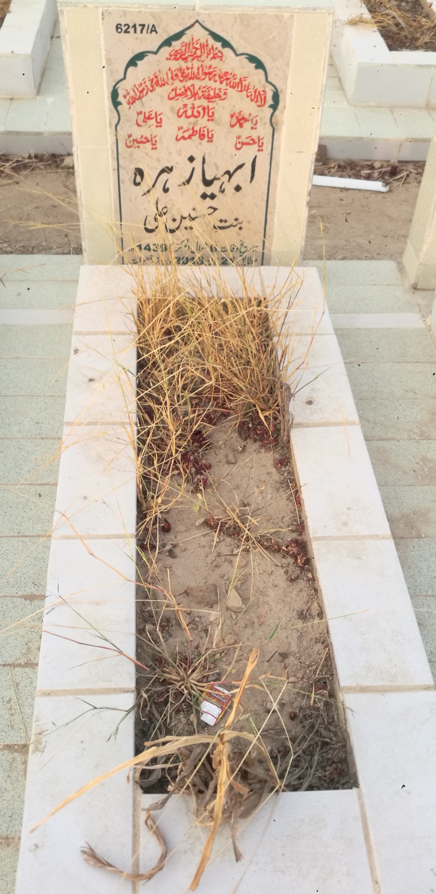 16217 – Abiha Zehra