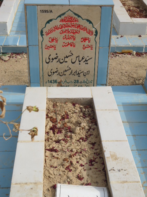 11595 – Syed Abbas Hussain Rizvi