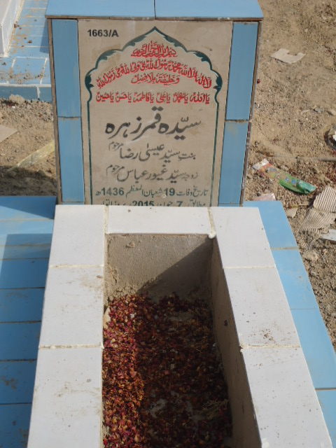 11663 – Syeda Qamar Zehra