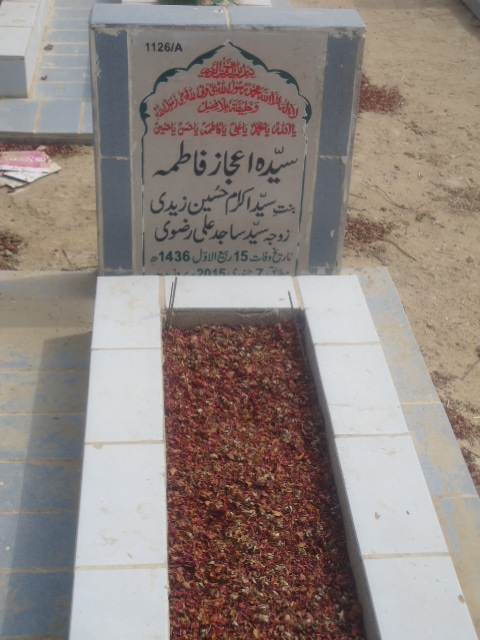 11126 – Syeda Ijaz Fatima