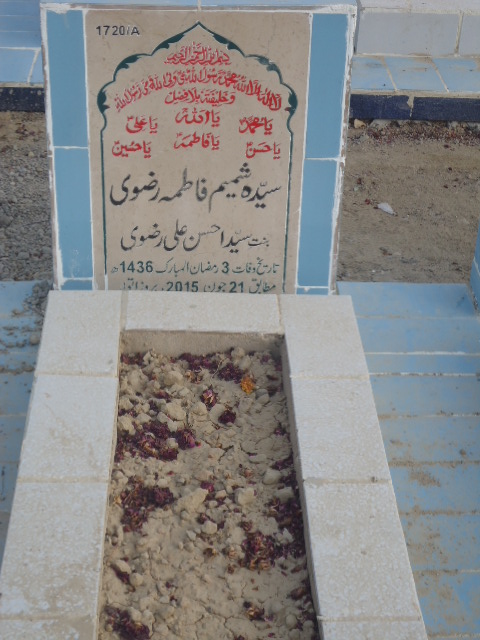 11720 – Syeda Shamim Fatima Rizvi