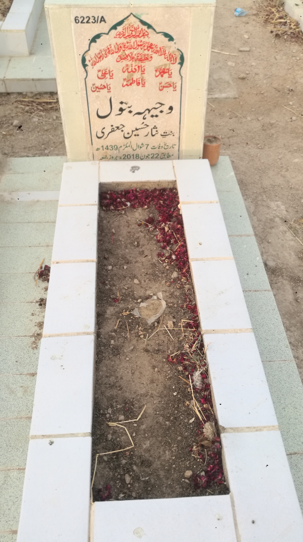 16223 – Wajiha Batool