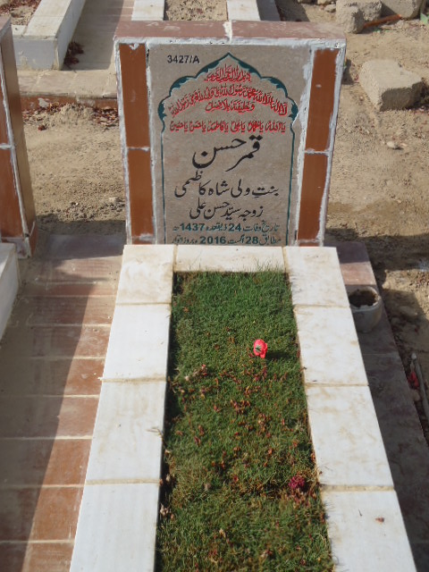 13427 – Qamar Hassan