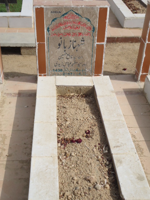 14243 – Shehnaz Bano