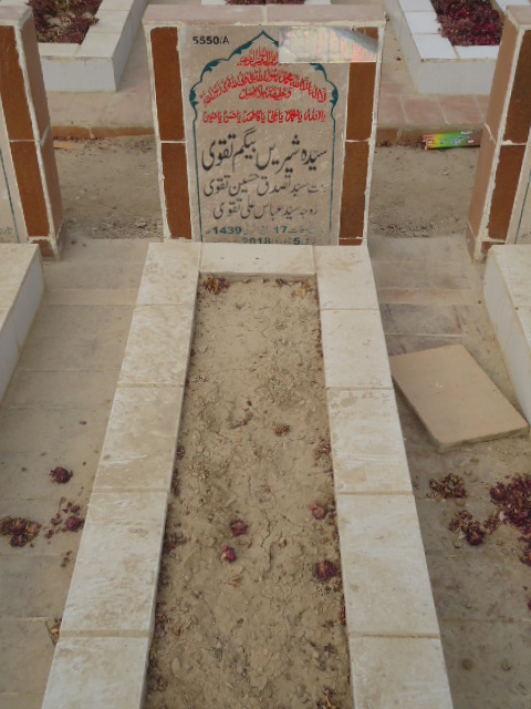 15550 – Syeda Shreen Begum Taqvi