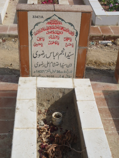 13347 – Syed Anjum Abbas Rizvi