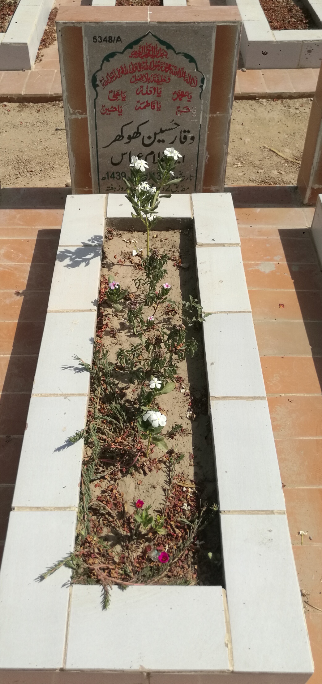 15348 – Waqar Hussain Khokhar