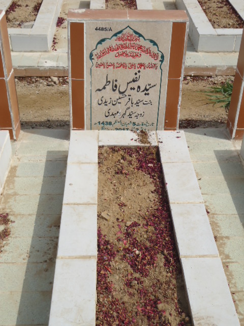 14485 – Syeda Nafeesa Fatima