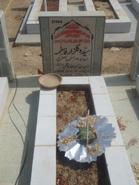 12115 – Syeda Gulzar Fatima