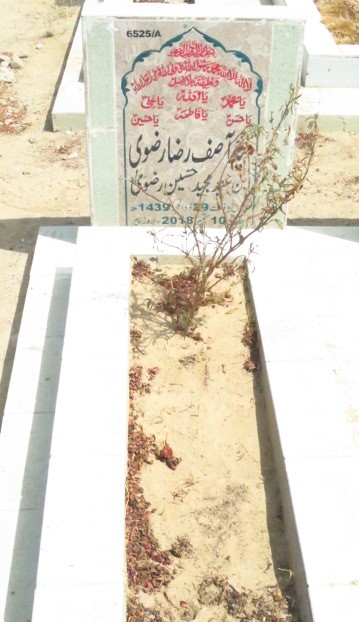 16525 – Syed Asif Raza Rizvi