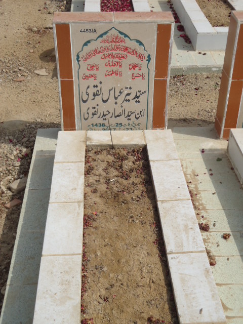 14453 – Syed Nayyer Abbas Naqvi