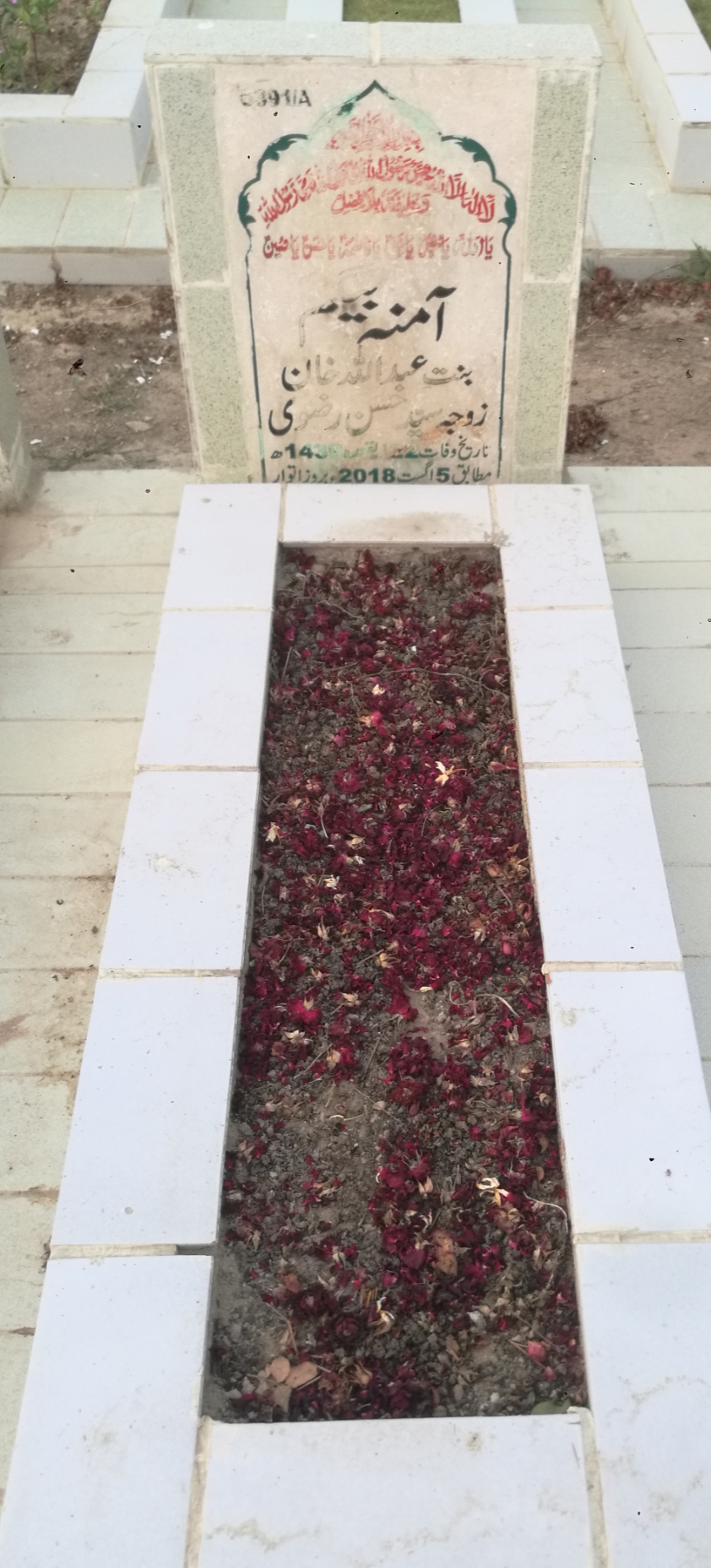 16391 – Amna Begum