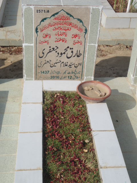 12571 – Tariq Mehmood Jaffery