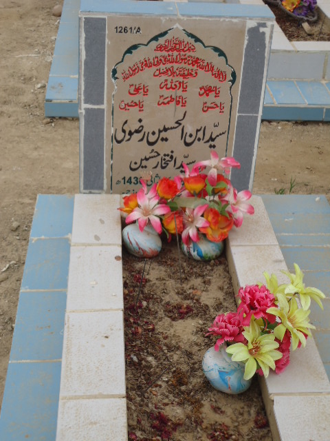 11261 – Syed Ibne ul Hussain Rizvi