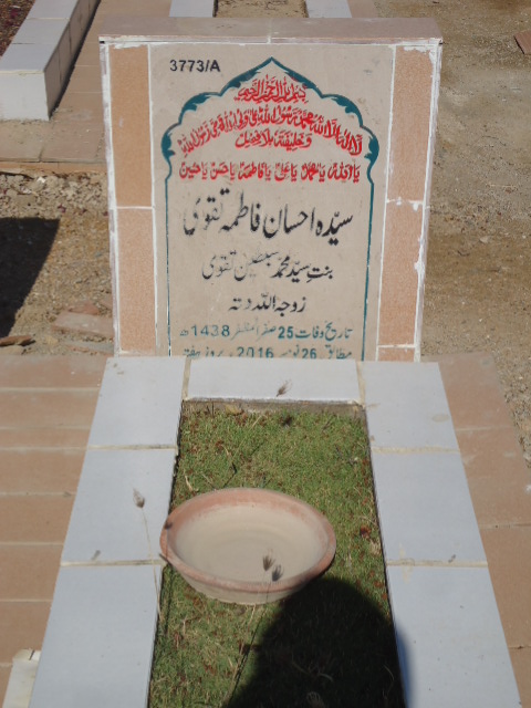 13773 – Syeda Ahsan Fatima Taqvi