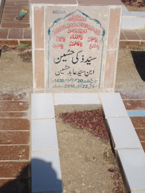 13620 – Syed Zaki Hussain