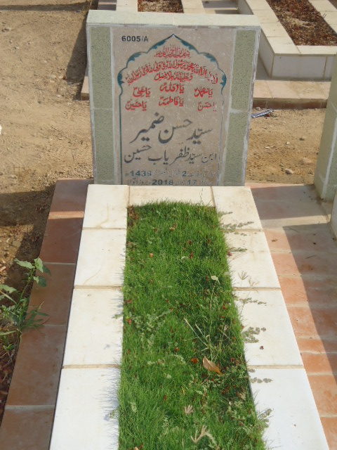 16005 – Syed Hassan Zameer