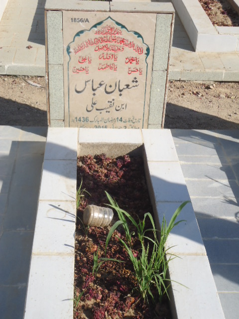 11856 – Shaban Abbas