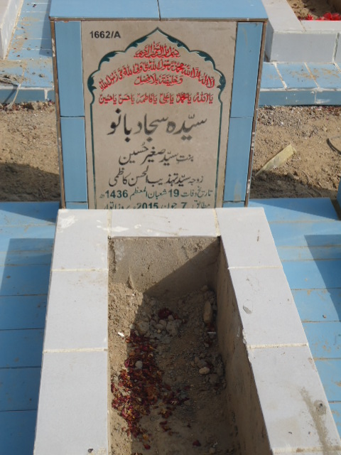 11662 – Syeda Sajjad Bano