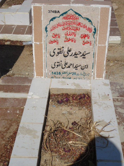 13748 – Syed Haider Ali Naqvi