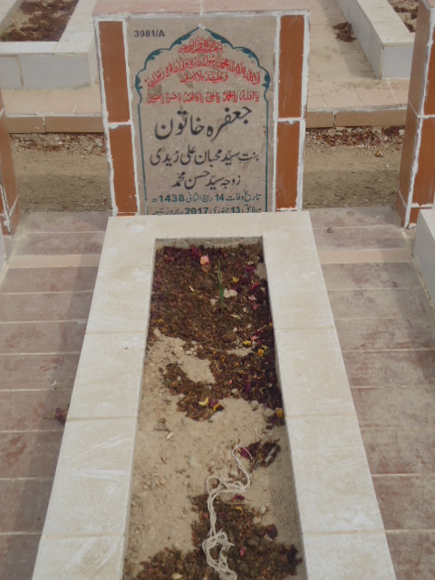 13981 – Jaffera Khatoon