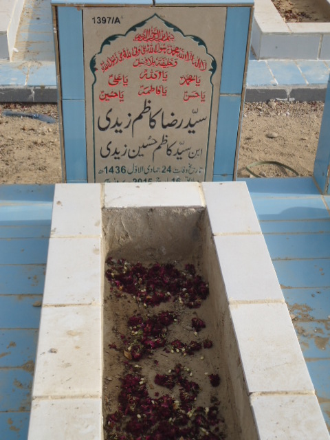 11397 – Syed Raza Kazim Zaidi