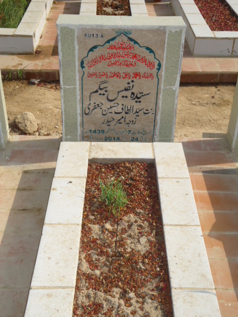 16013 – Syeda Nafees Begum