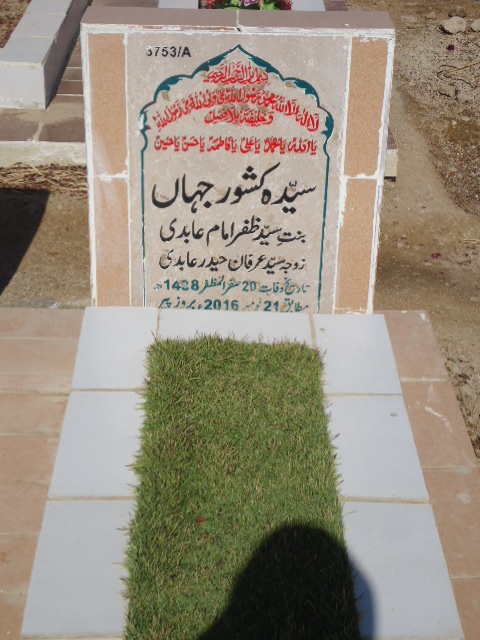 13753 – Syeda Kishwar Jahan