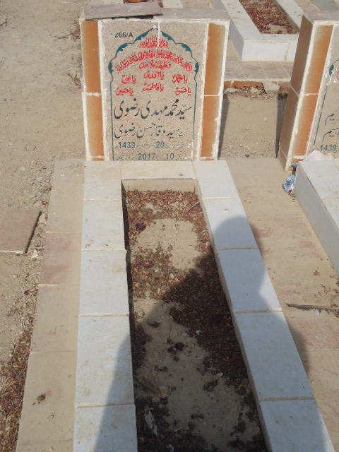 15266 – Syed Muhammad Mehdi Rizvi