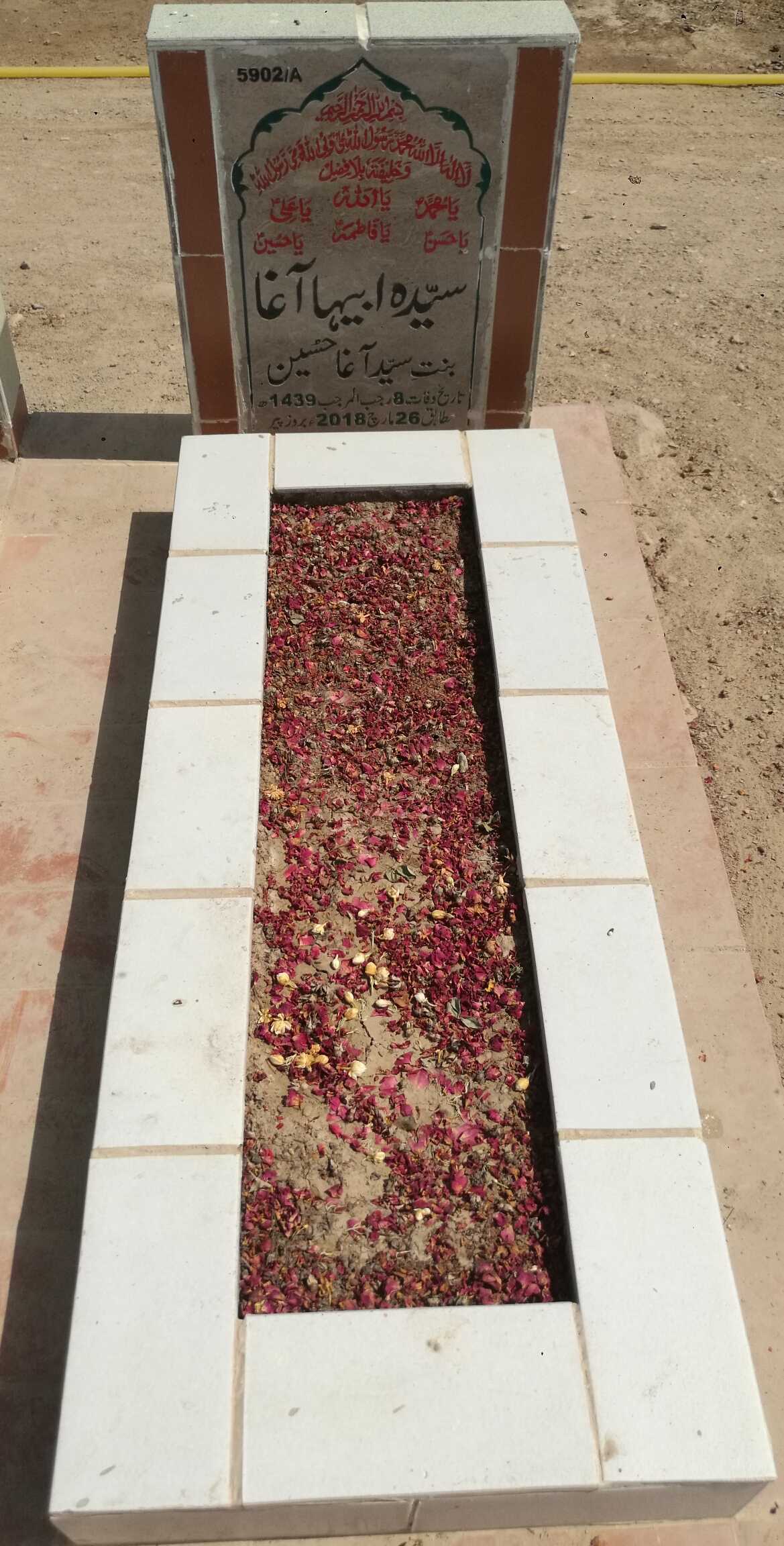 15902 – Syeda Abiha Agha