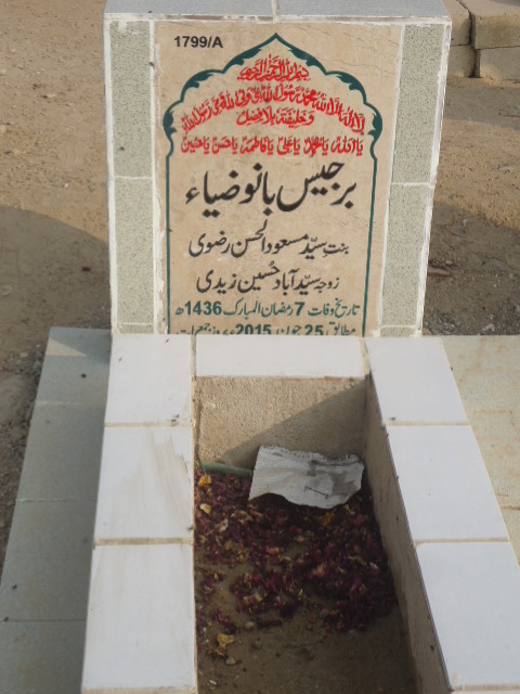 11799 – Berjees Bano Zia