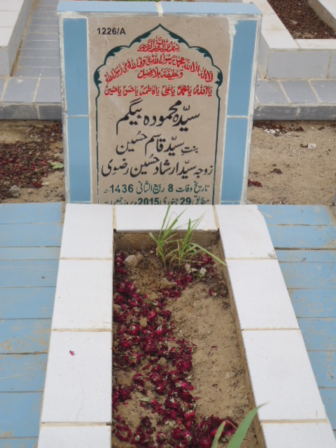 11226 – Syeda Mehmooda Begum