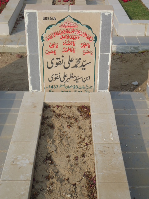 13085 – Syed Muhammad Ali Naqvi