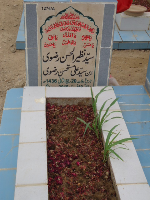 11276 – Syed Nazeer Ul Hasan Rizvi