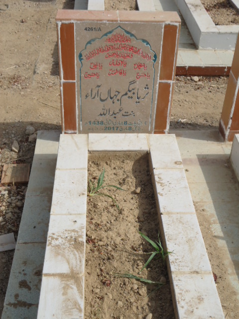 14261 – Suraiya Naqvi Jahan Arra