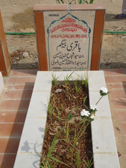 14619 – Baqari Begum