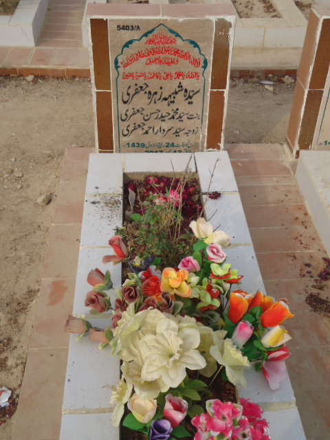15403 – Syeda Shabih Zehra Jaffery