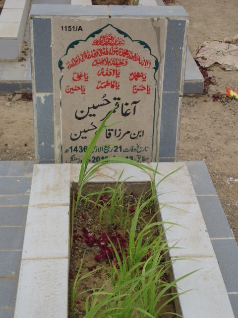 11151 – Agha Qamar Hussain