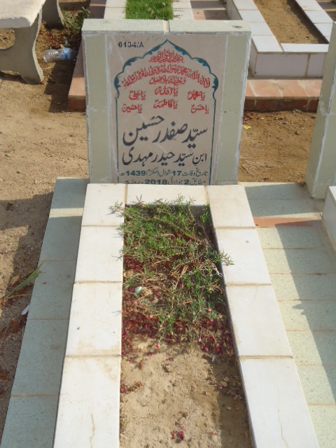 16134 – Syed Safdar Hussain