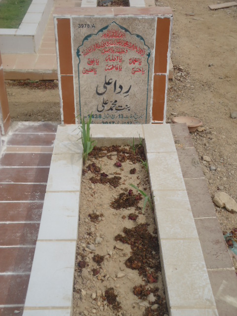13978 – Rida Ali